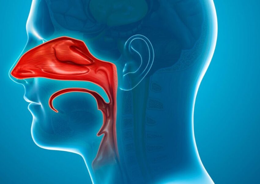 Why Nasal Congestion Treatments Matter For Athletes