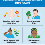 How Nasal Congestion Treatments Target Allergy Symptoms